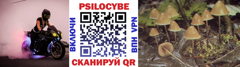 Галлюциногенные грибы прущие грибы  Купить закладки  Касимов 