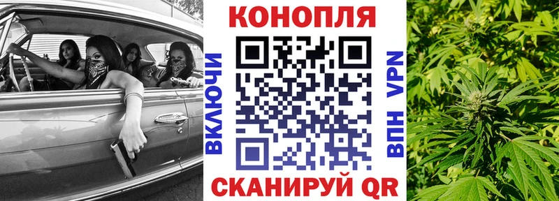 МАРИХУАНА сатива  Купить где  Касимов 